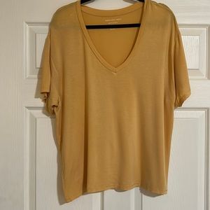 American Eagle v neck T